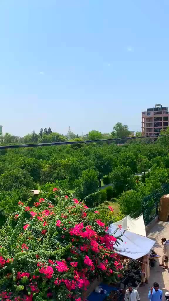@🖤Nangarhar🇦🇫