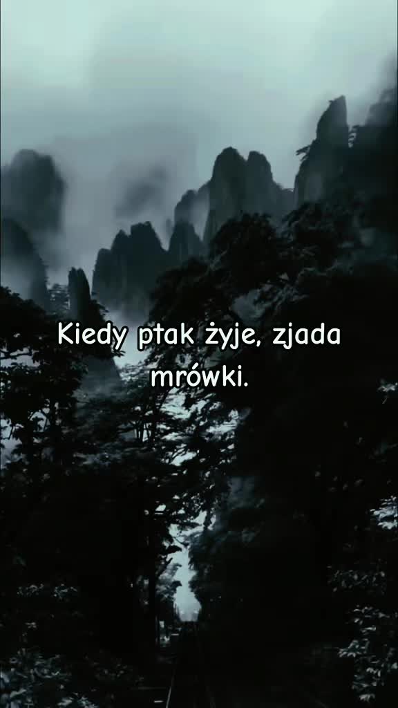 @melika