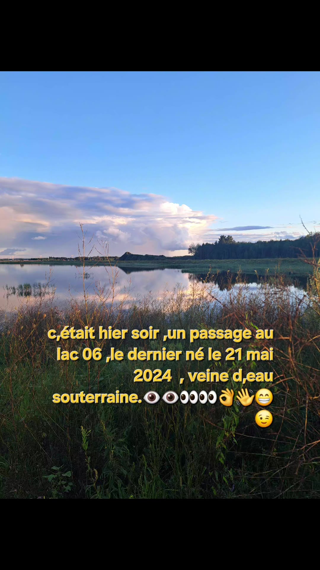 @regis Pinault