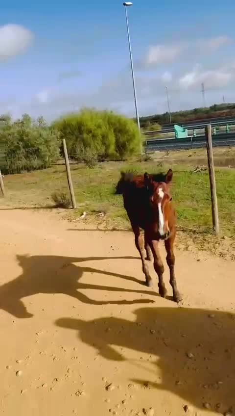 @Enrique Salas Salguero