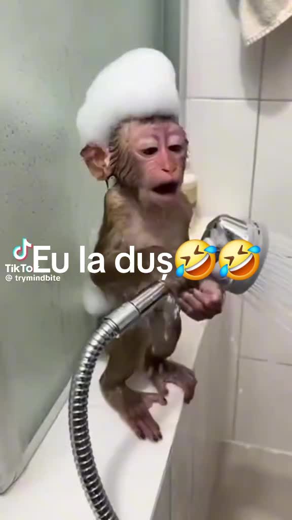 @obaciulucica