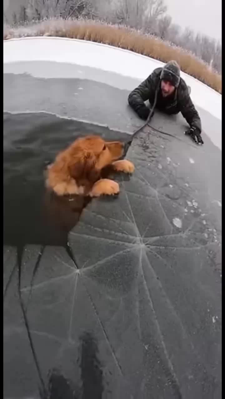 @animalslife2026
