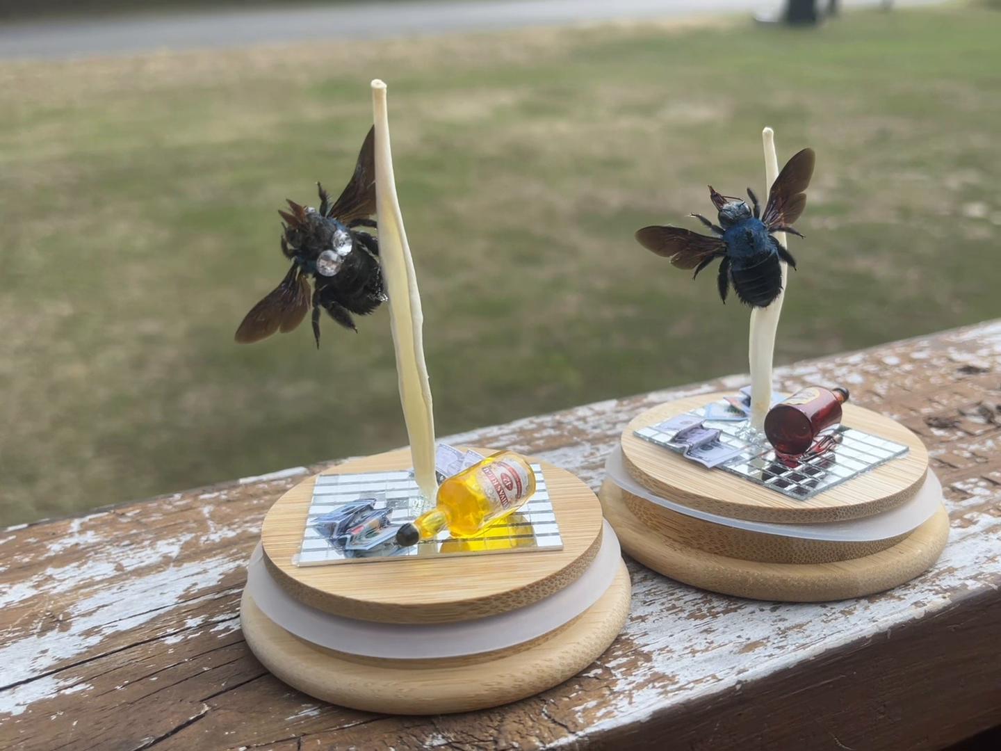 @Half Moon Crystals & Oddities