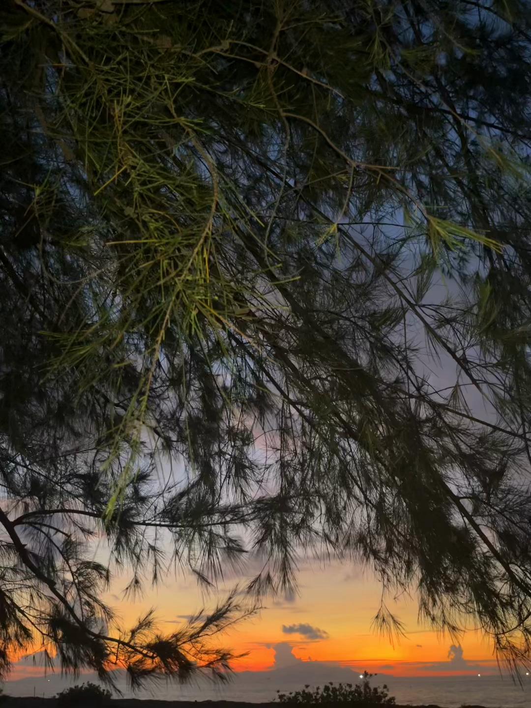 @Qiiii_