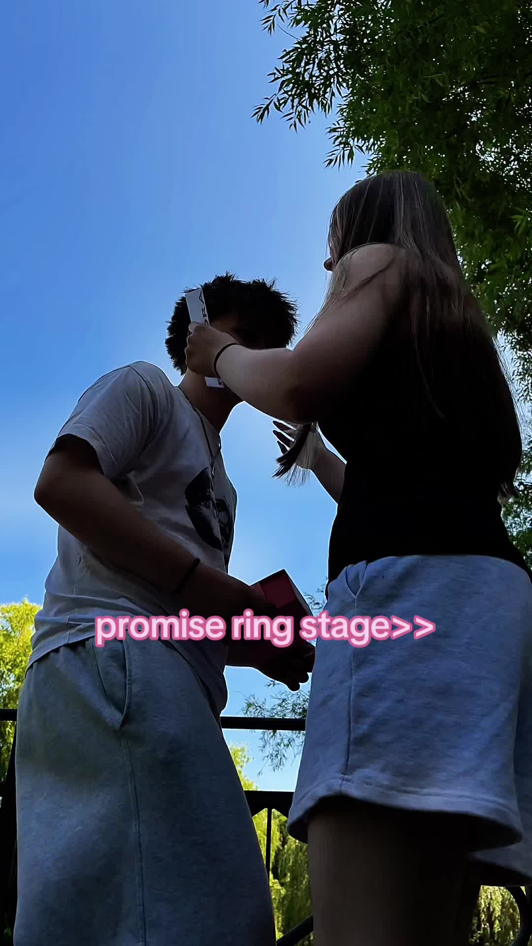 @redrosetroy