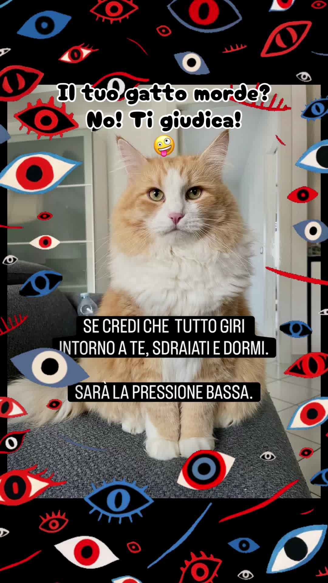 @LAURA