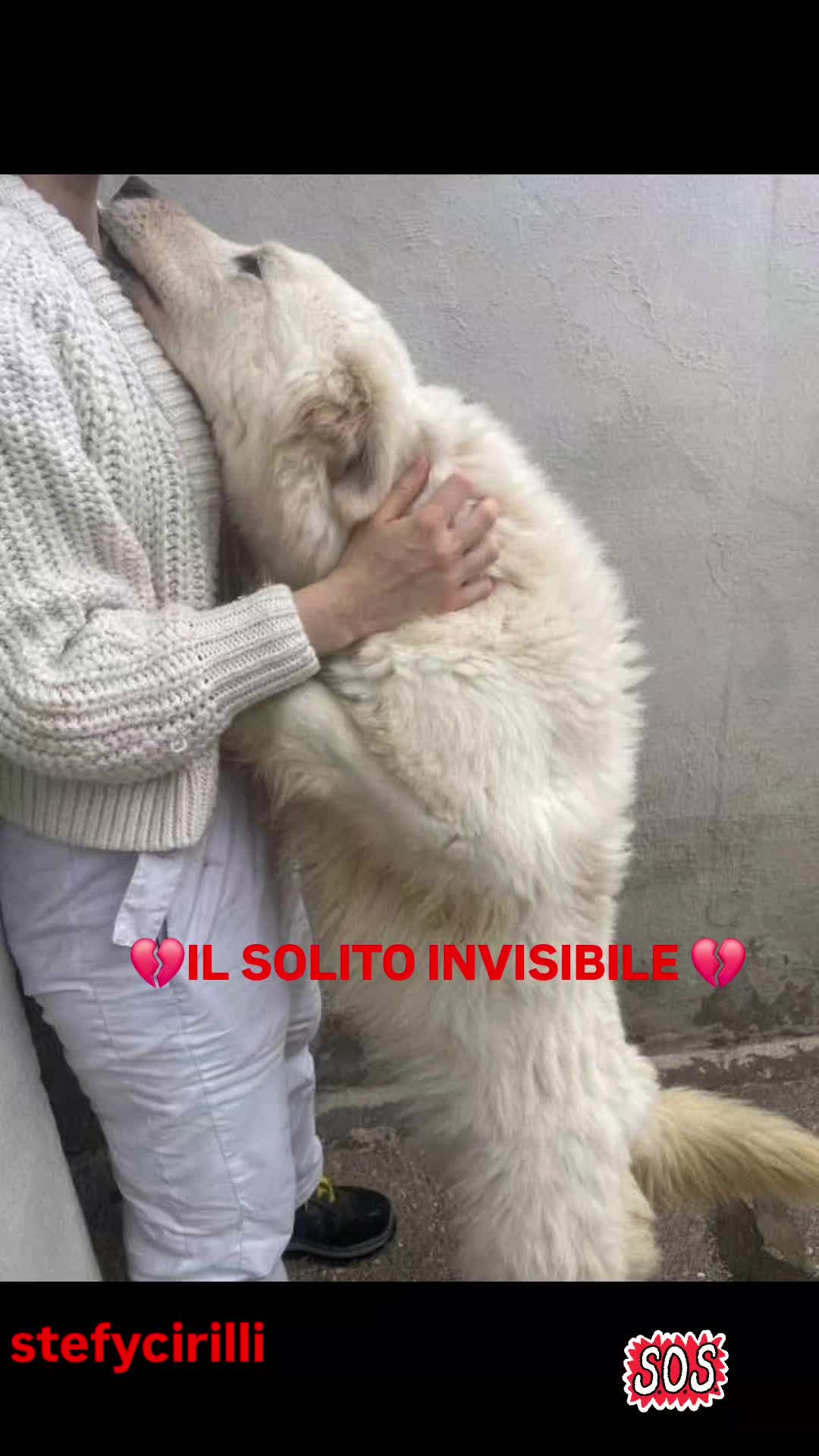 @Stefy Cirilli