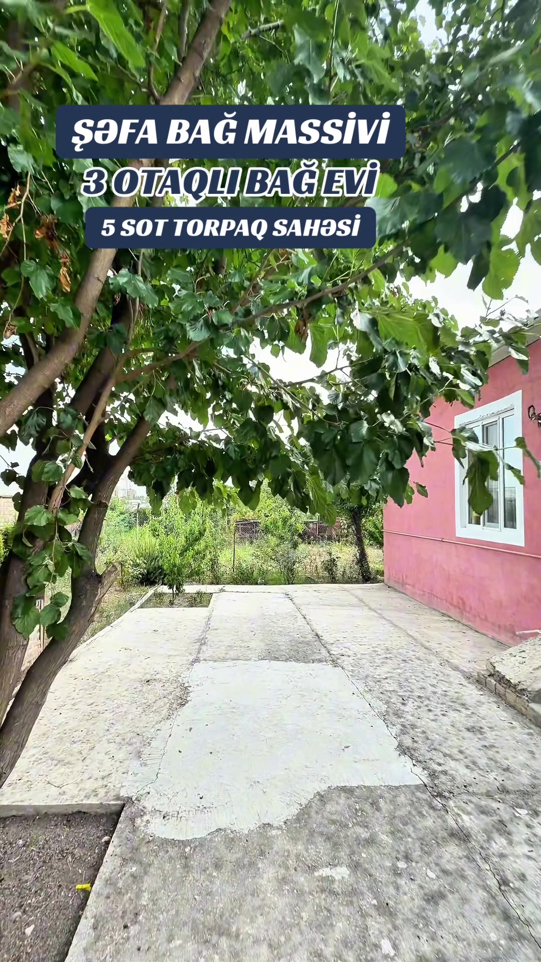 @SALƏDDİN BAXŞƏLİYEV
