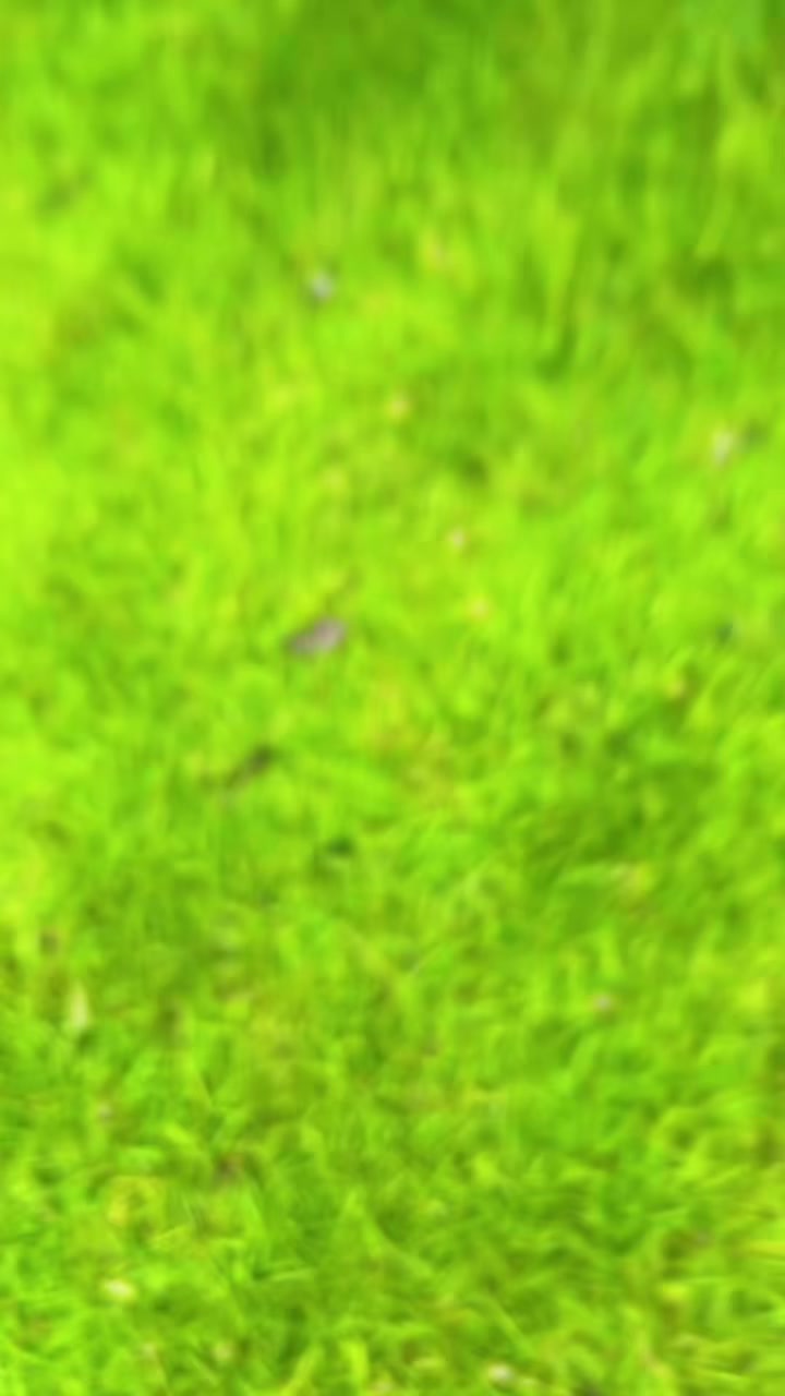 @प्रदिप 💢श्रेष्ठ
