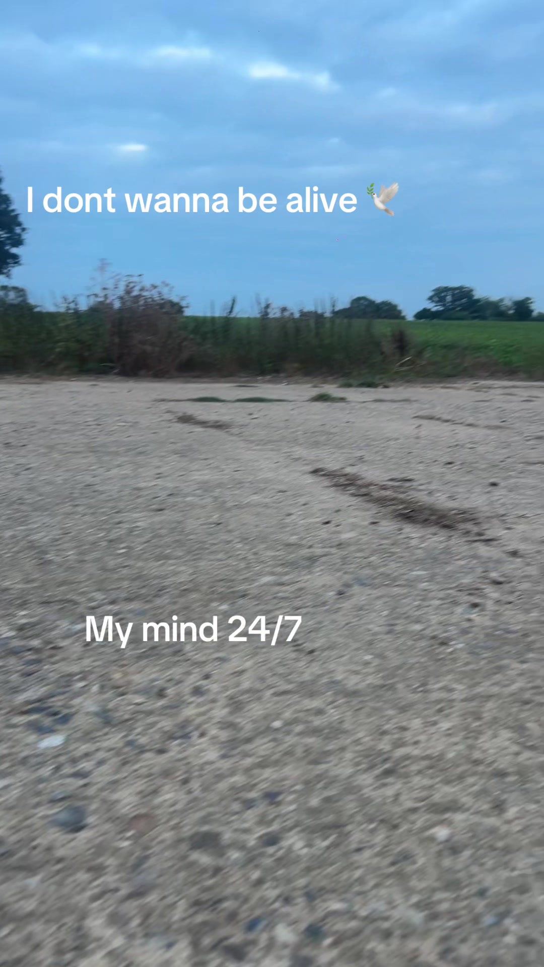 @💞🍃