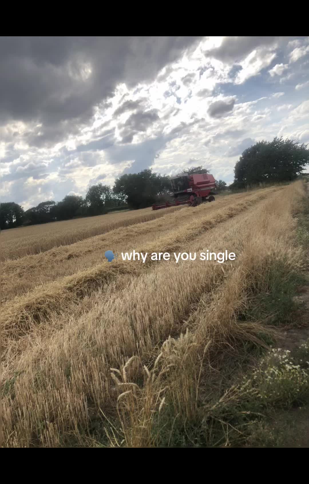 @🍺🌾OscarP.S_Agri4🌾🍺🚜
