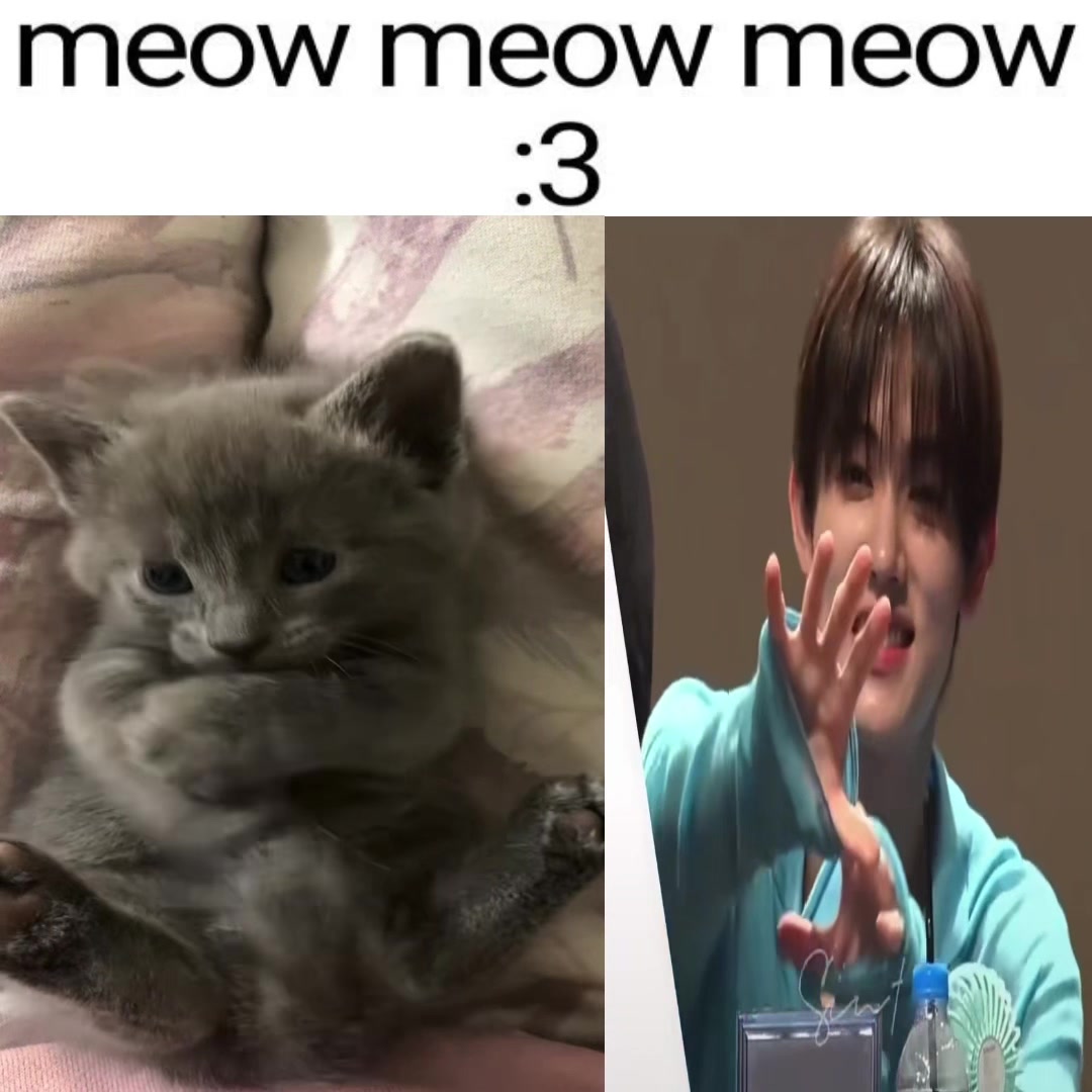 @kittyhyeon