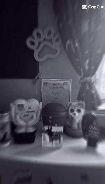 @Xx_ðð»ðžðŽð®ð· ðð®ðªð»ðœâ¡_xX