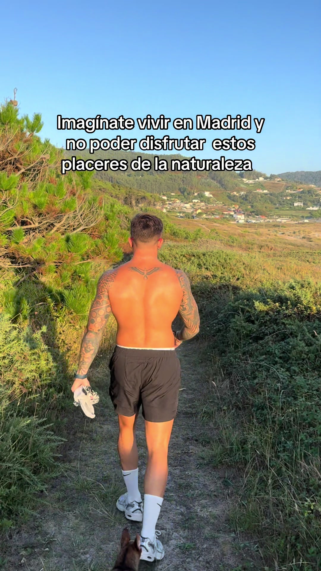 @Miguel Torrente
