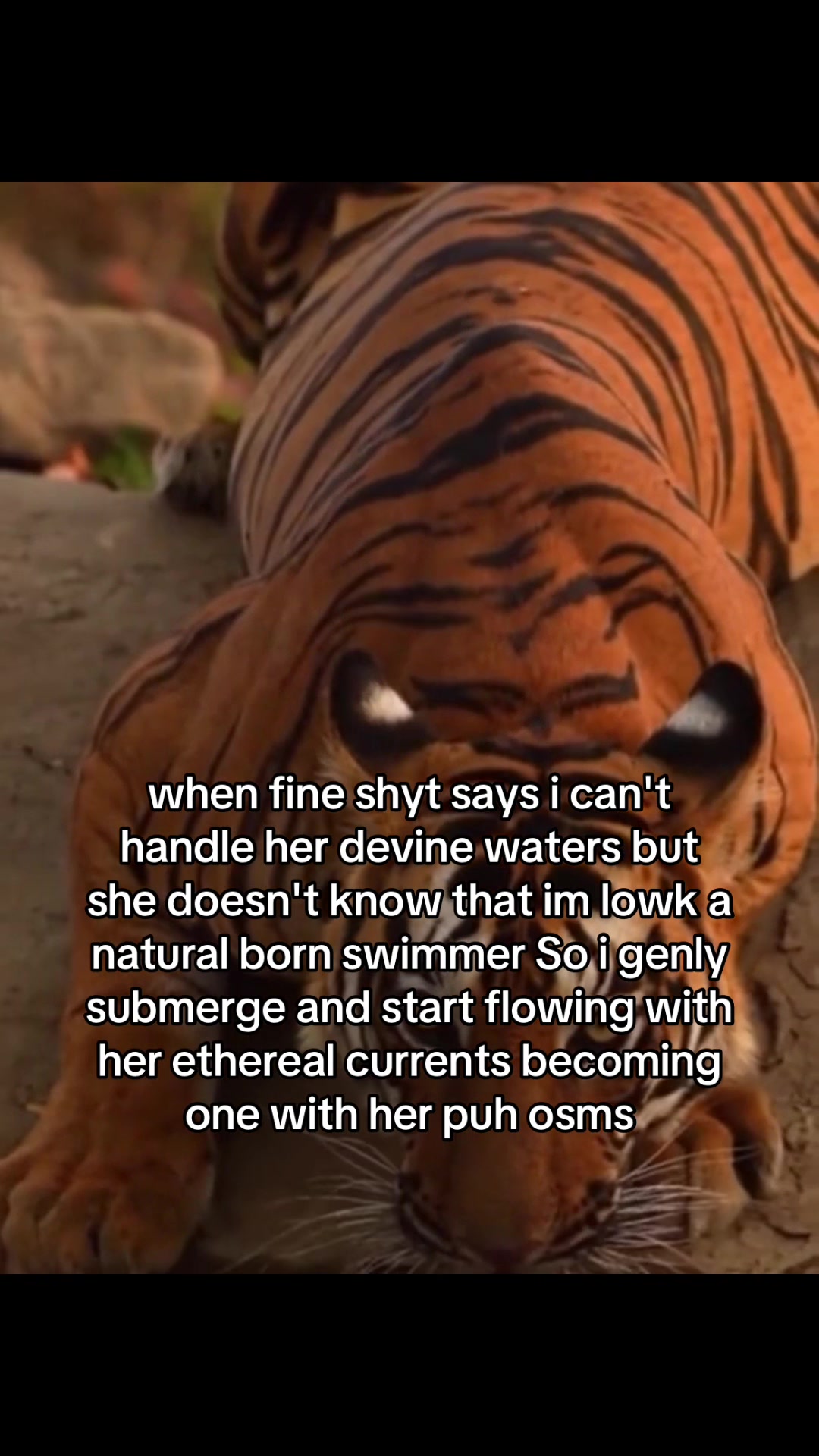 @youngboba7son