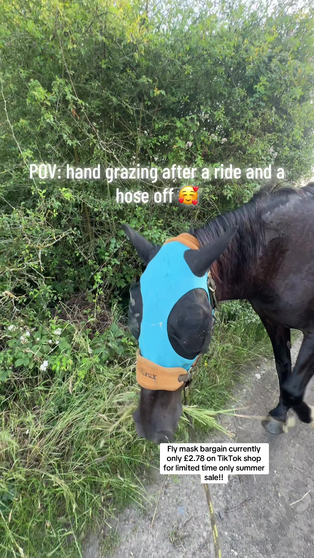 @Charlotte.Equestrian