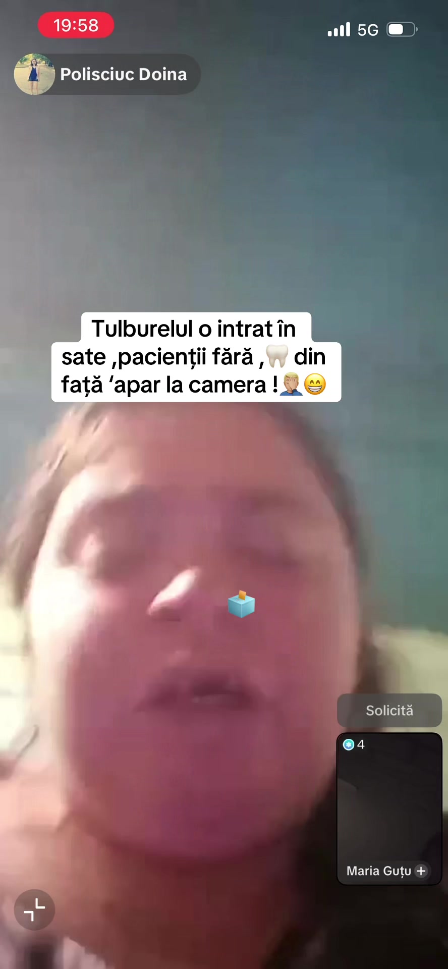 @Cutia pandorei 🗳️