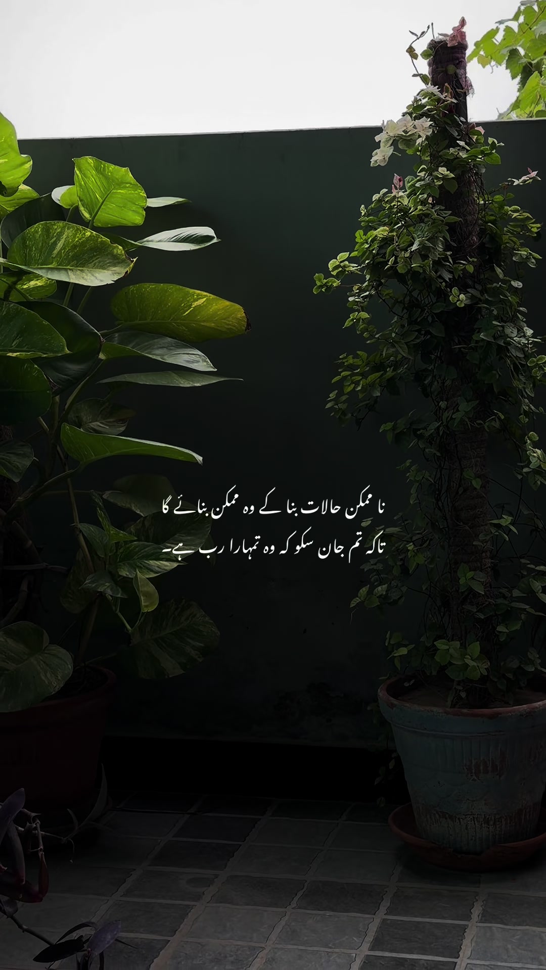 @𝙏 𝘼 𝙇 𝙃 𝘼🫀❤️&zwj;🩹