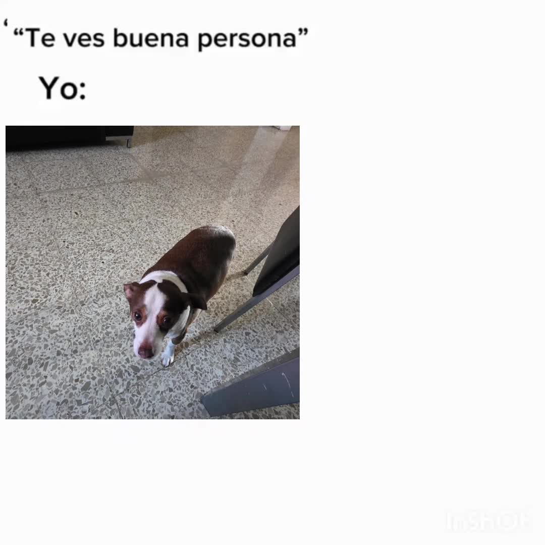 @ander33