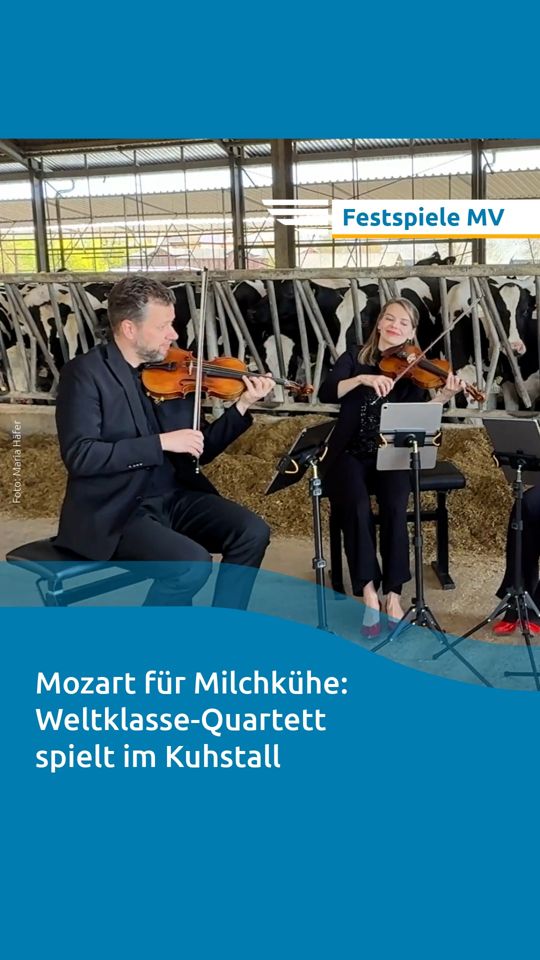 @Nordkurier