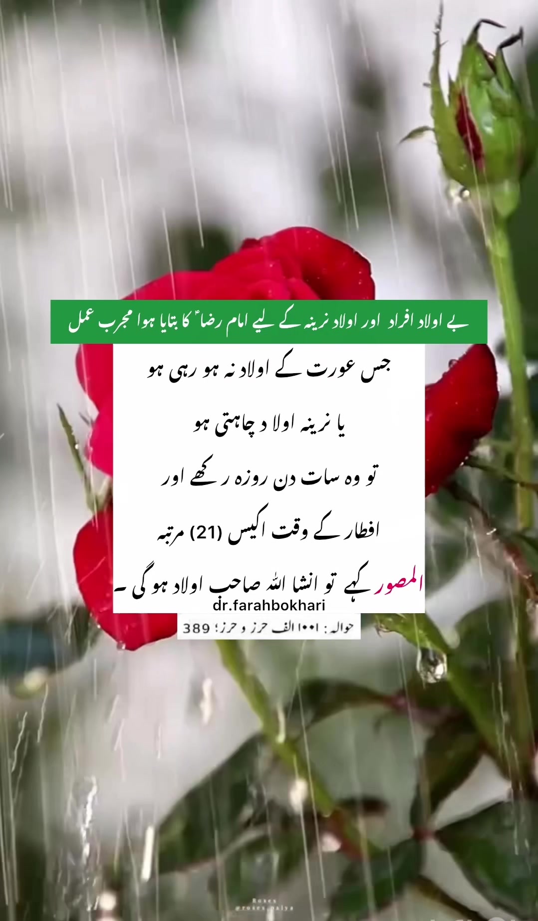 @dr.farahbokhari