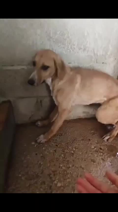 @๐ ๊ลฑρั๐ส๐ข๐ั ๐
