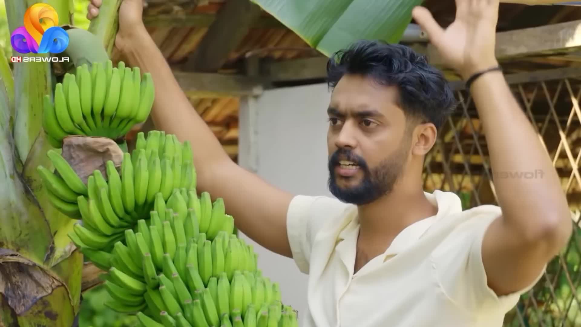 @ManMarzi