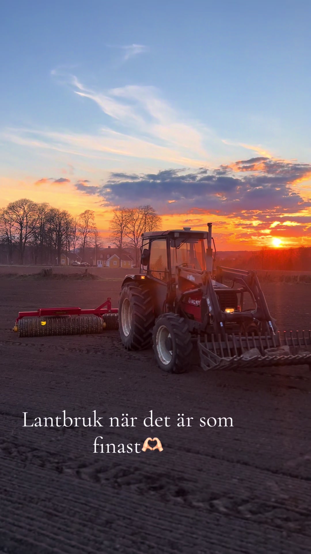 @Neo Lundell