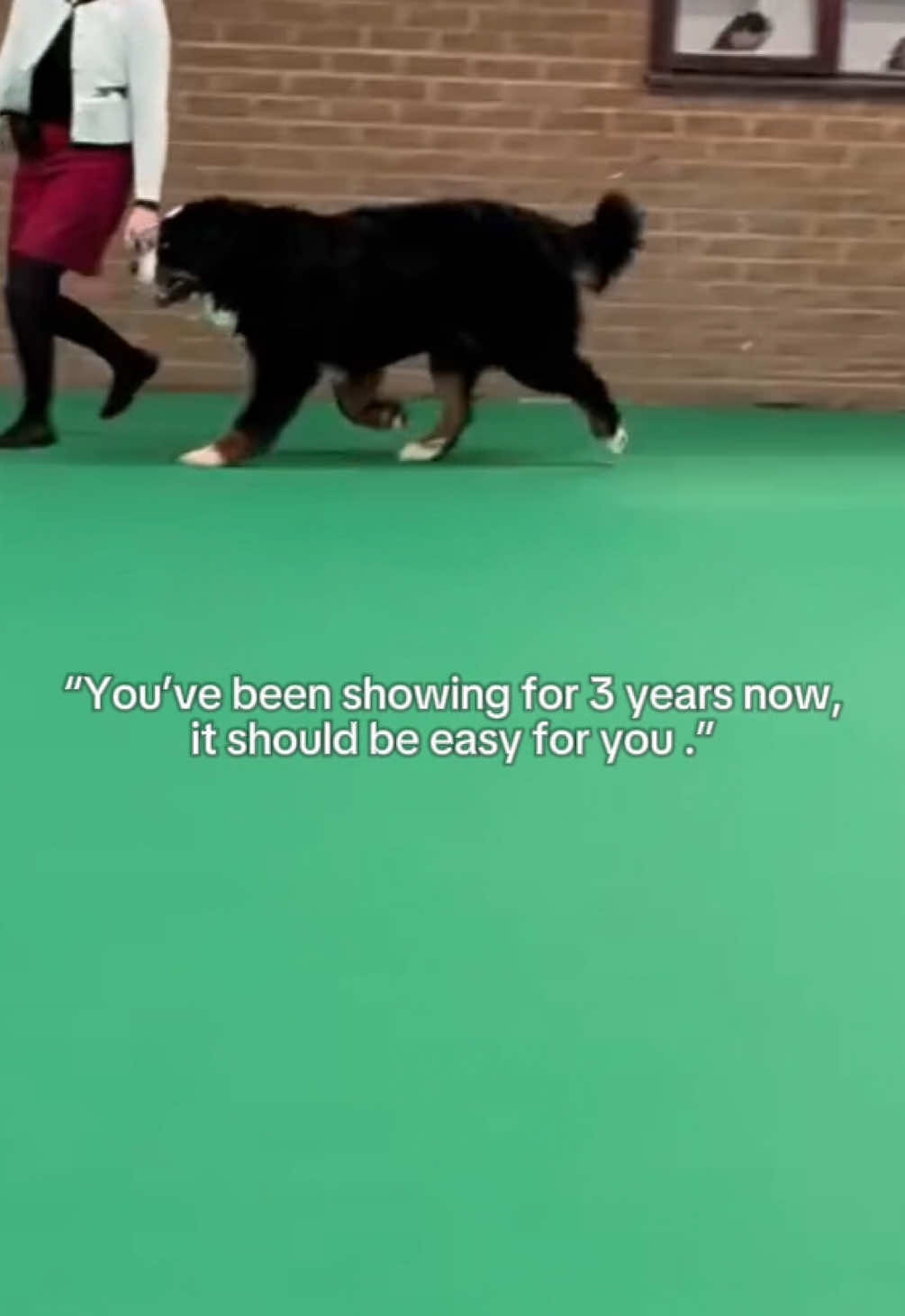 @Bramble, Ivy and Gino