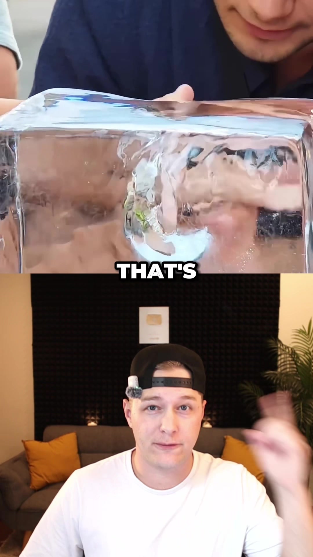 @Koztent