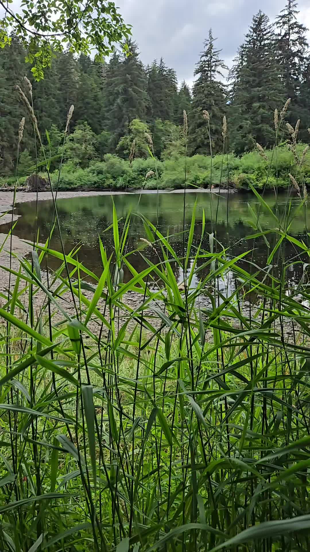 @Alaska's jim stone living wild