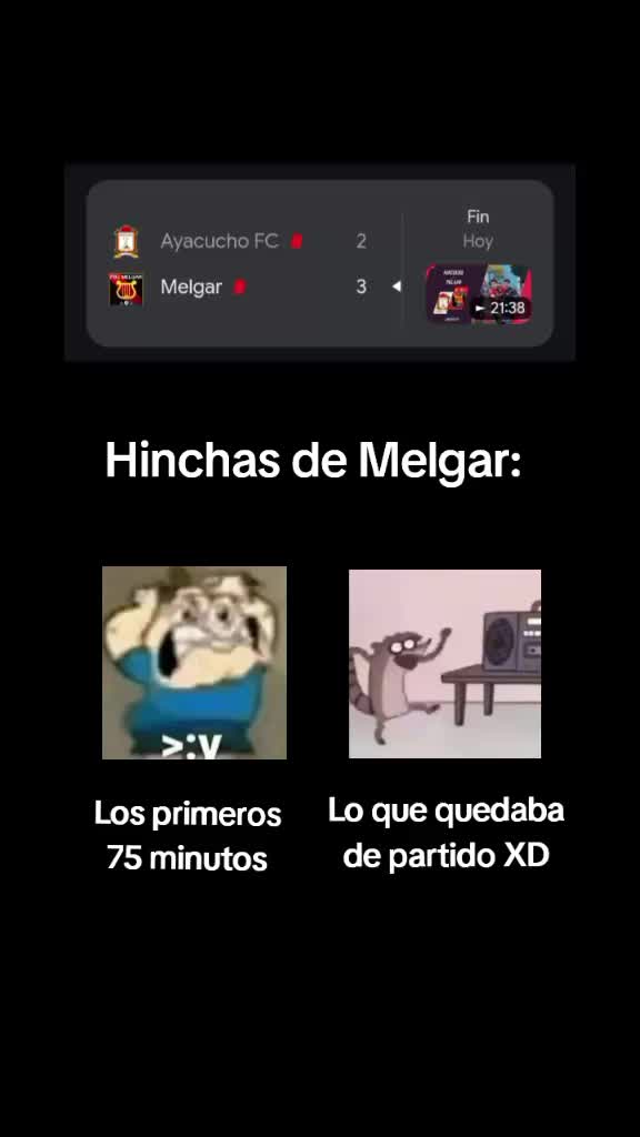 @Kot Dominó