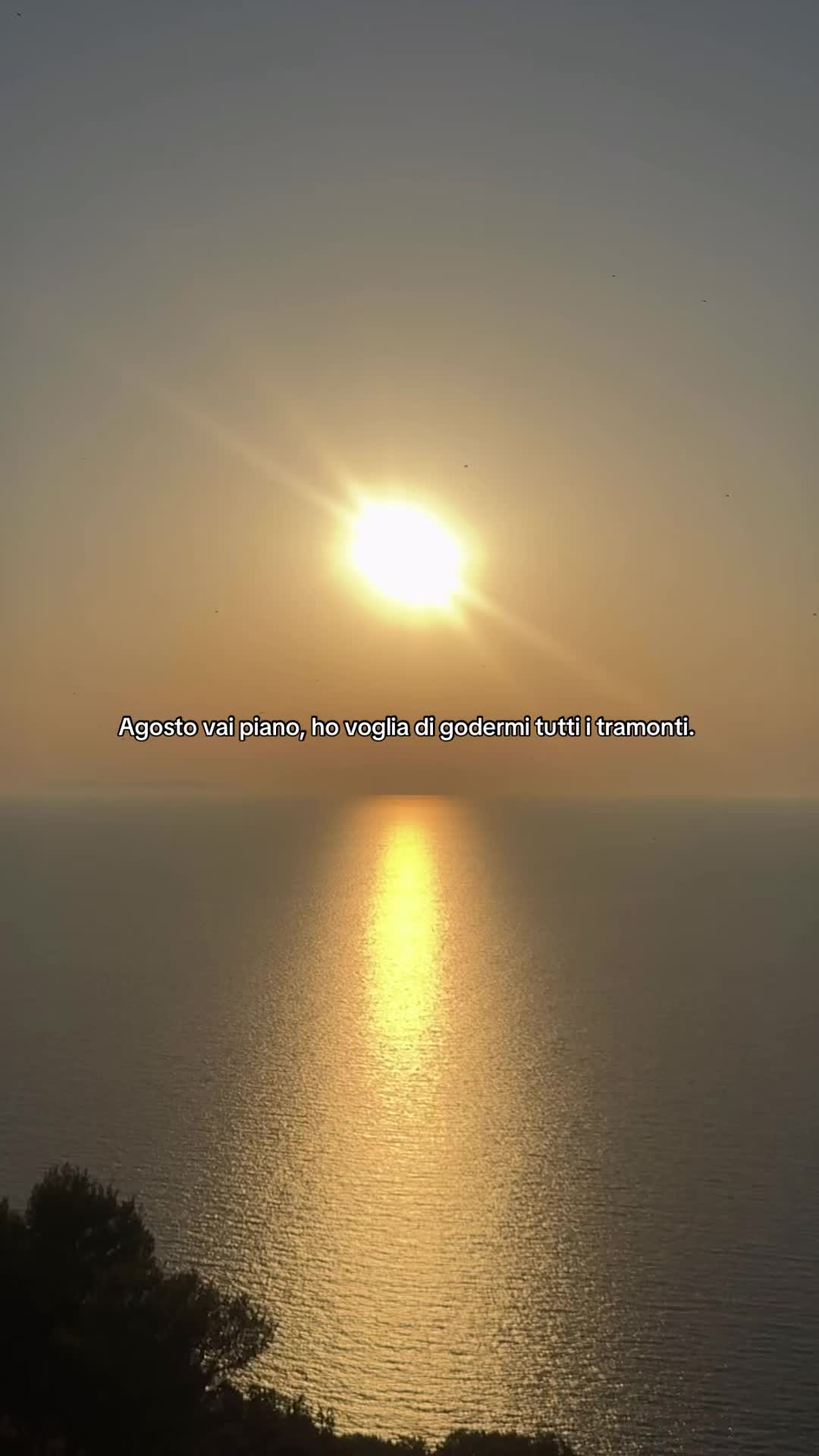 @saracesti