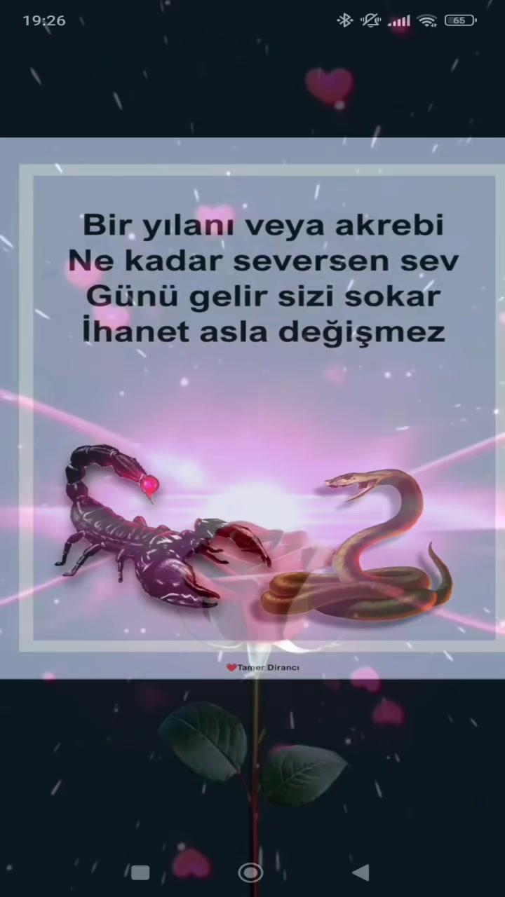 @yusuf56 yiğitcan56