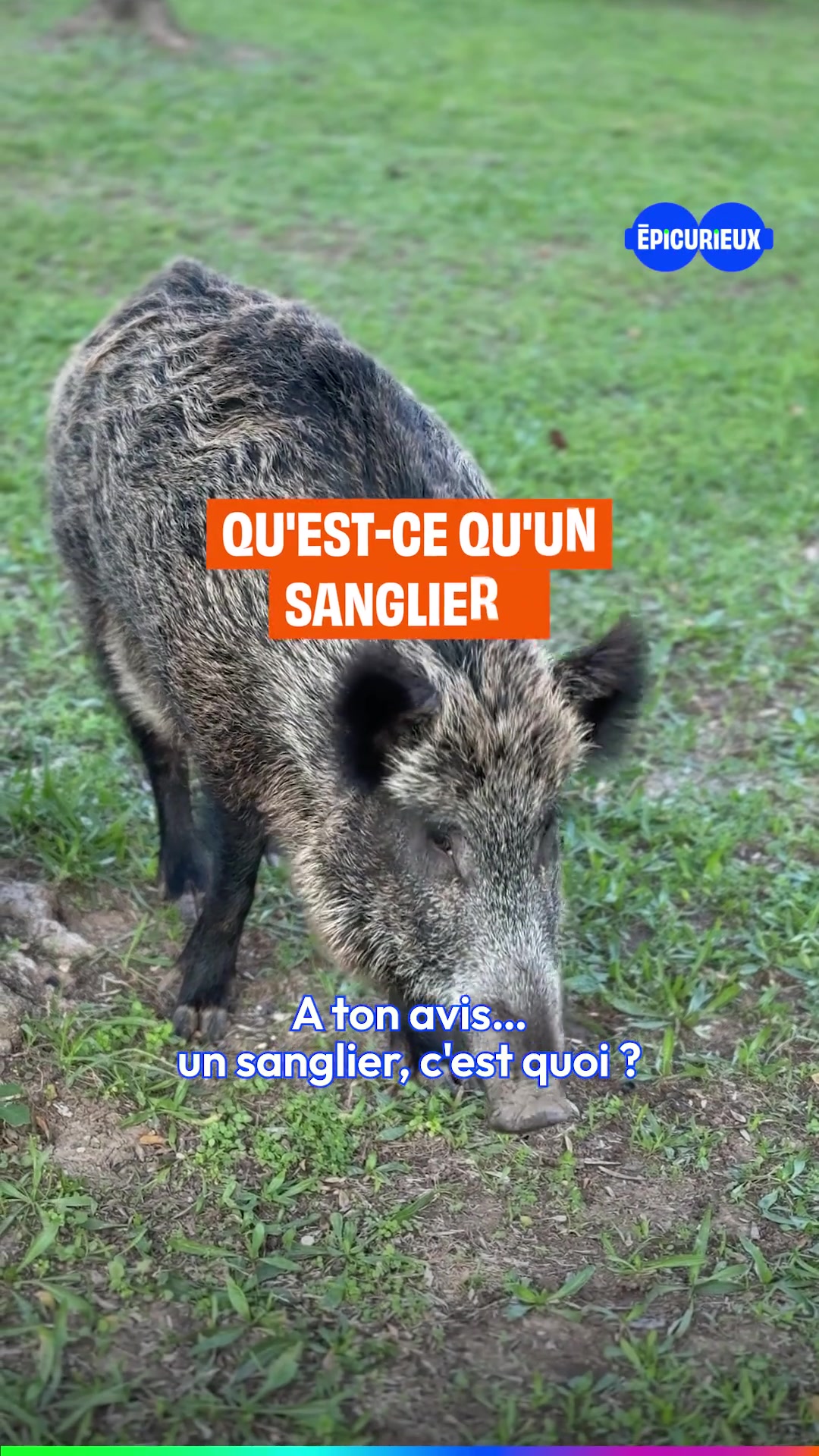 @Jamy - Epicurieux