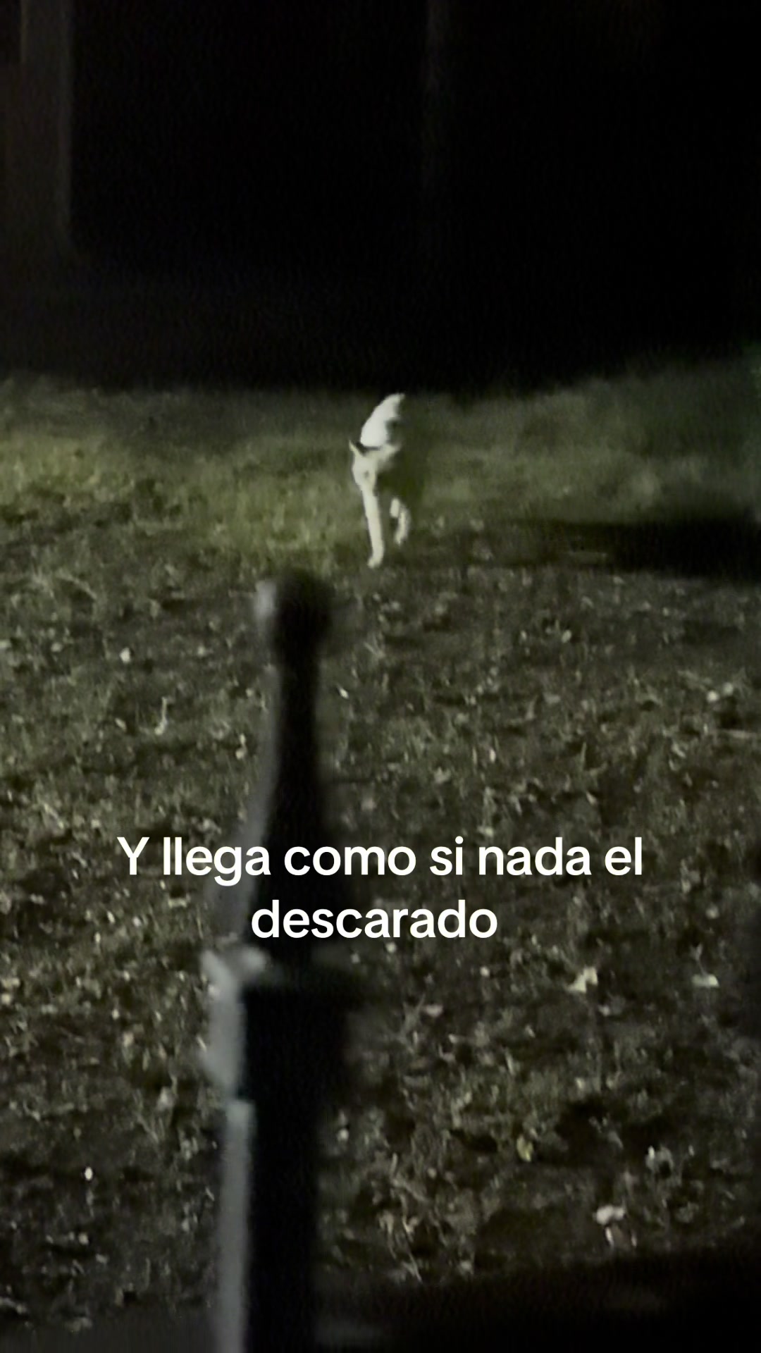 @Emilio y Modesto