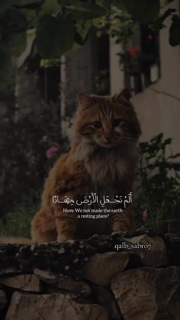 @𓆩♡𓆪 𝑸𝒂𝒍𝒃-𝒆-𝑺𝒂𝒃𝒓 𓆩♡