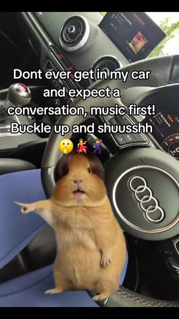 @Kiesha 🧸⚘️