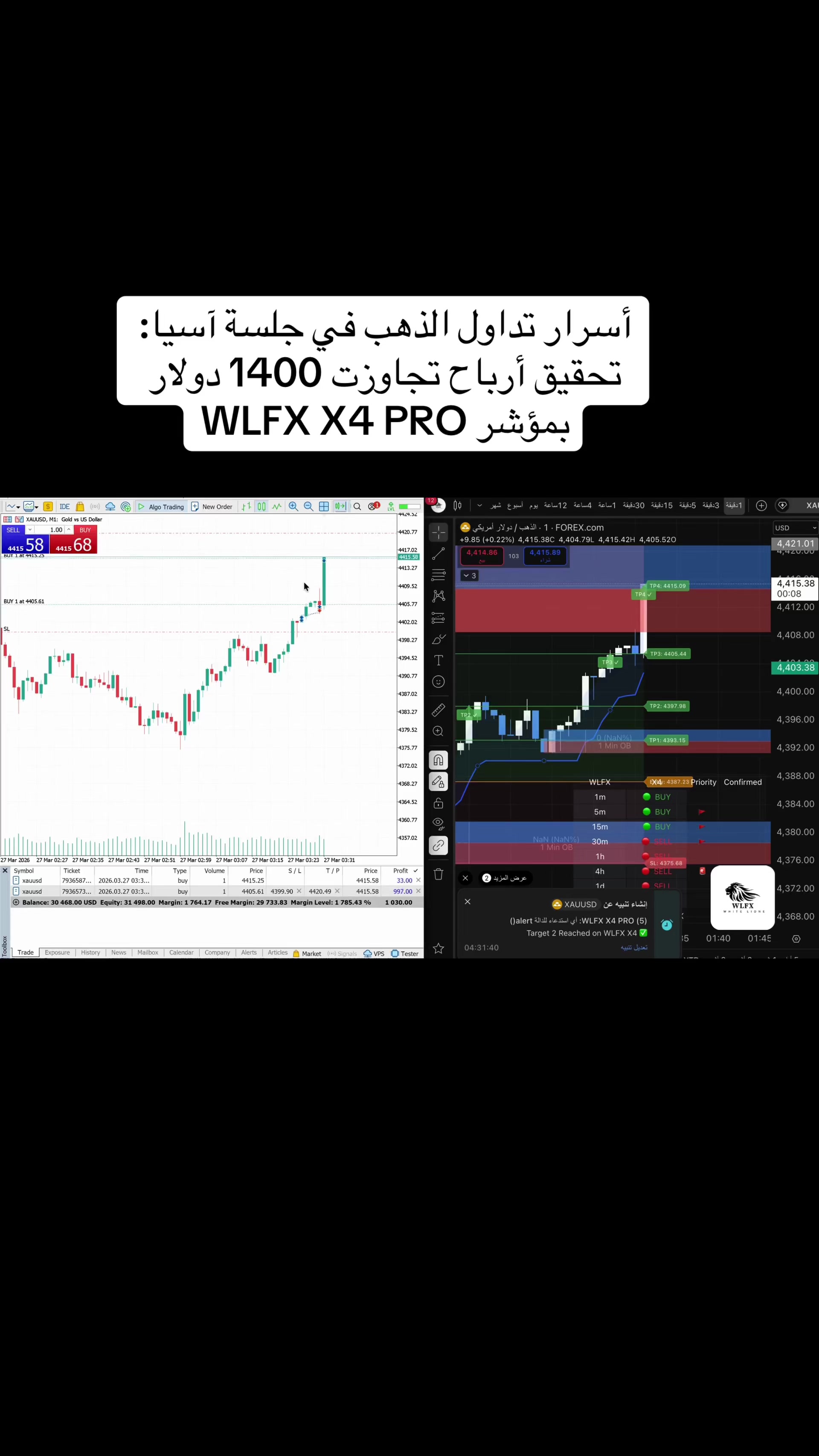 @WLFX.forex