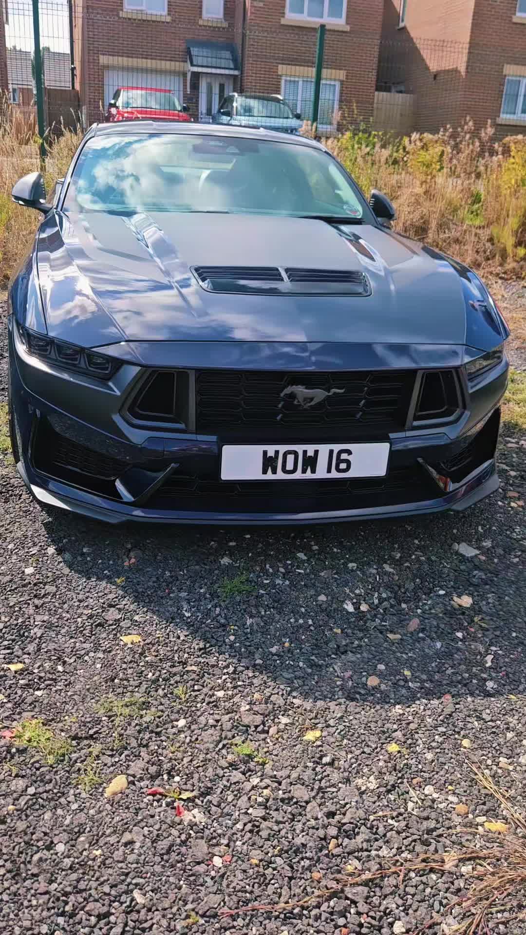 @MustangMack
