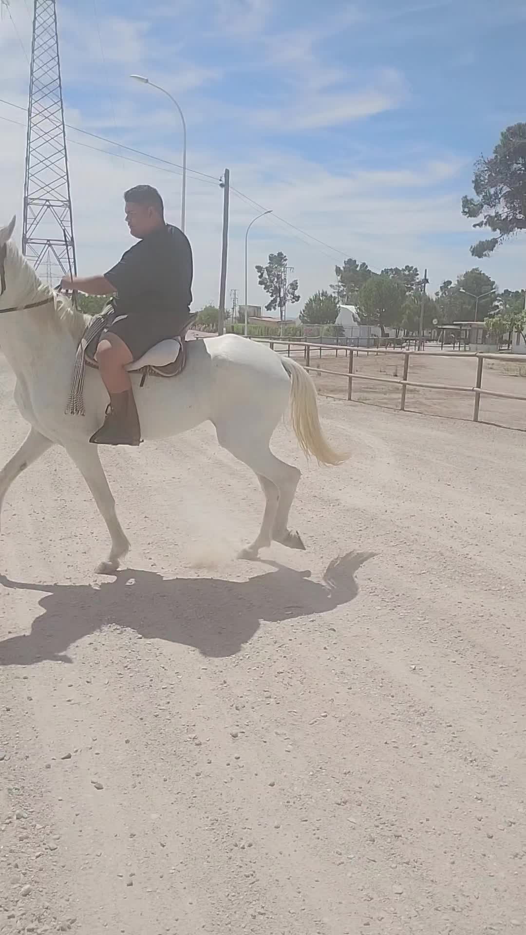 @CUADRA FERN&Aacute;NDEZ 🇦🇿🐎