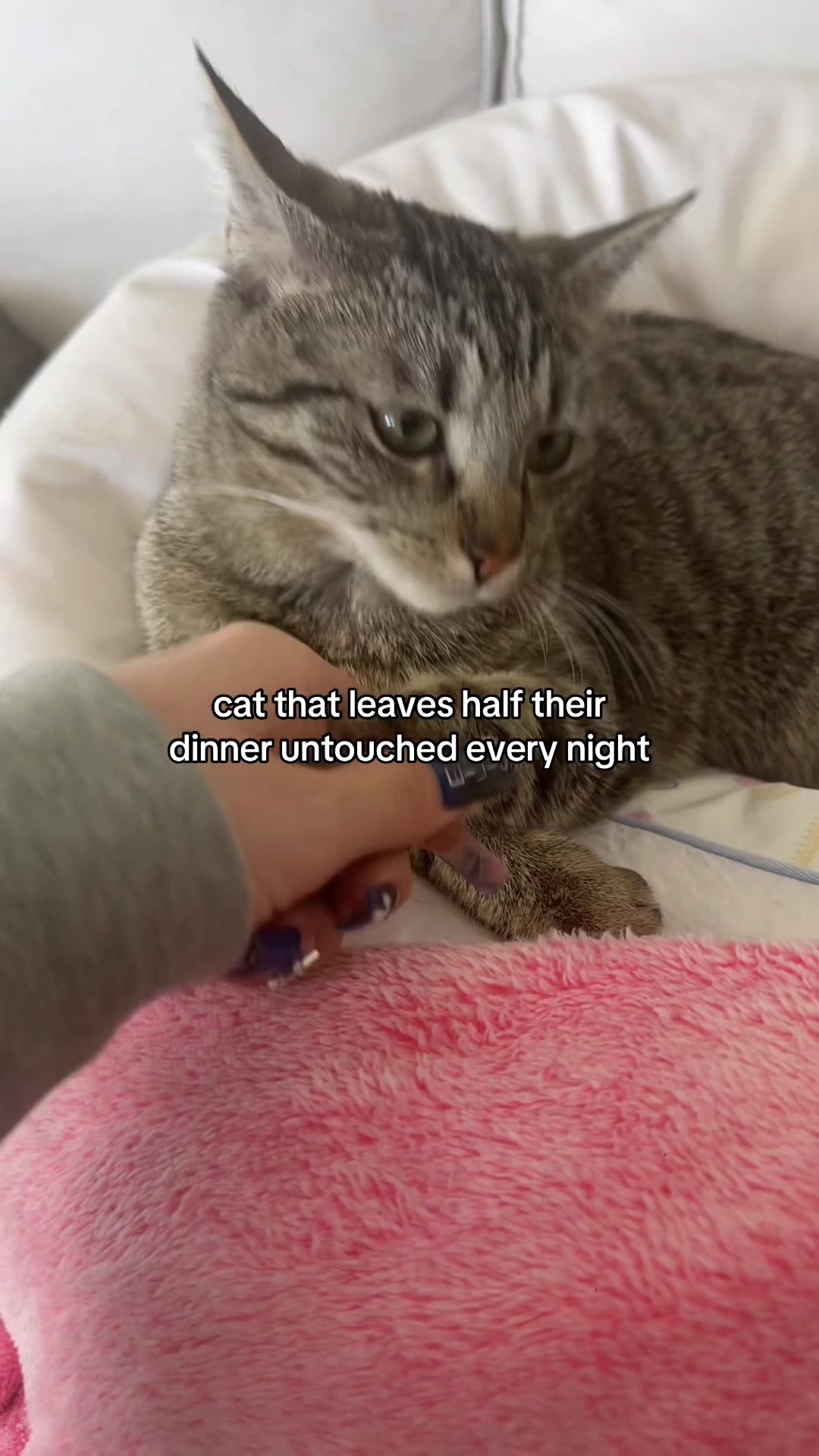 @ℳ