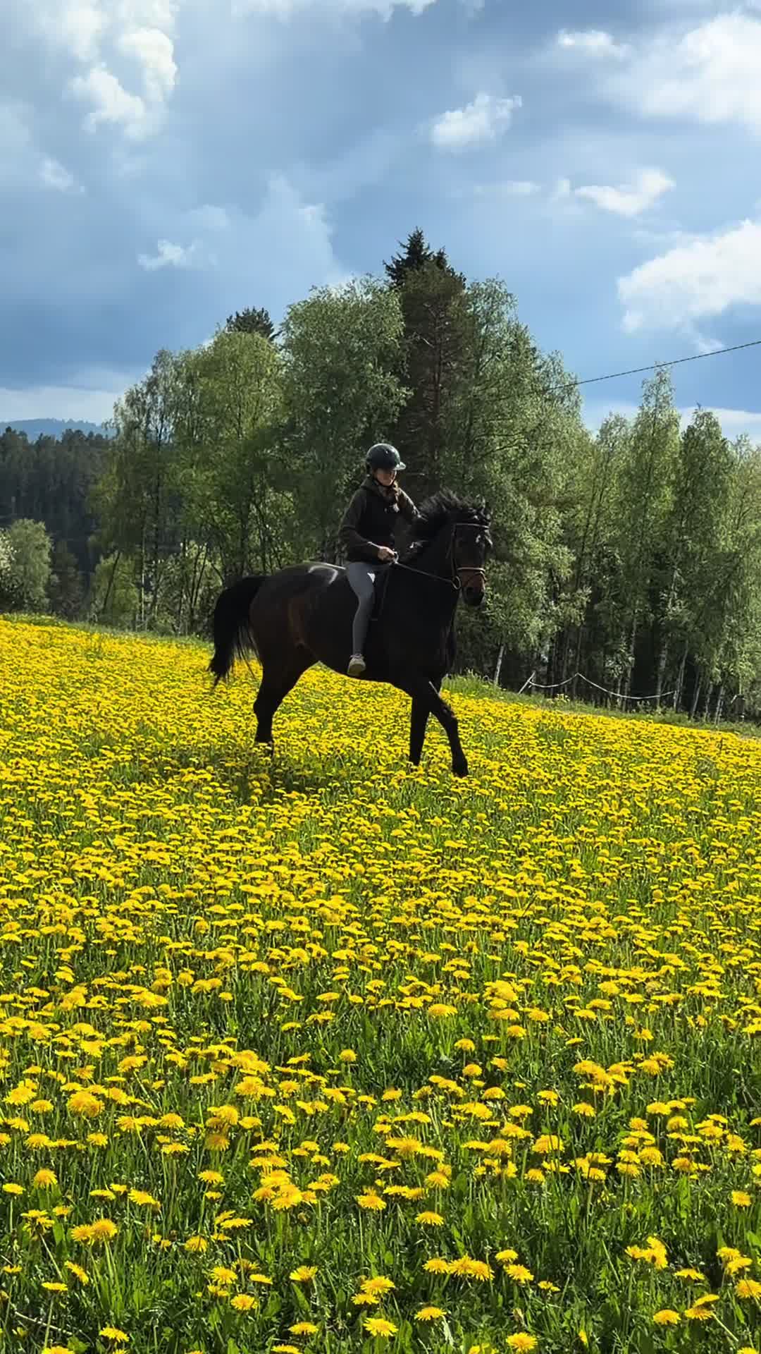 @🤍Elin Tyskhagen🤍
