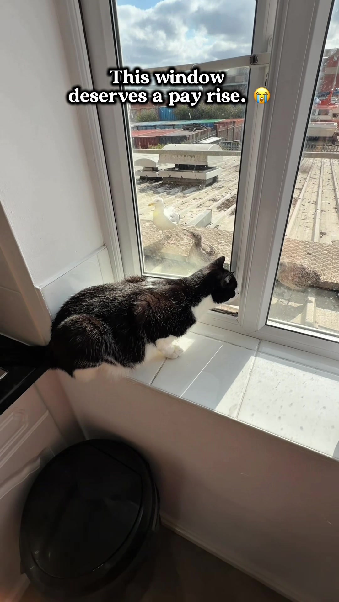 @slavic_cat_mum