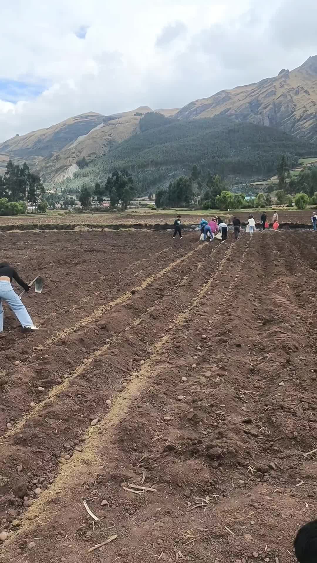 @Rubí Yupanqui