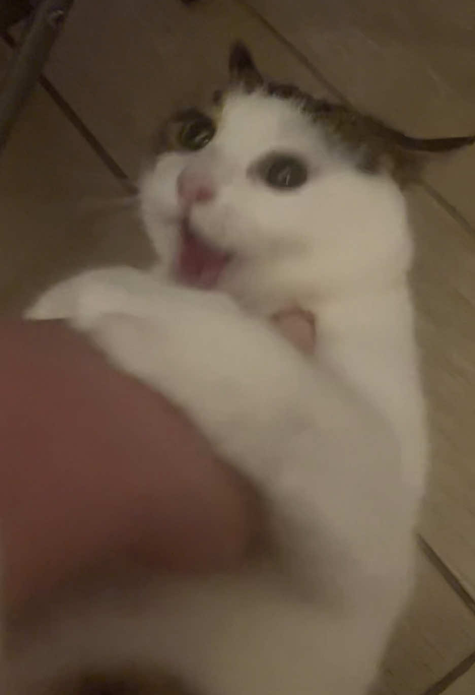 @solarsodaaa