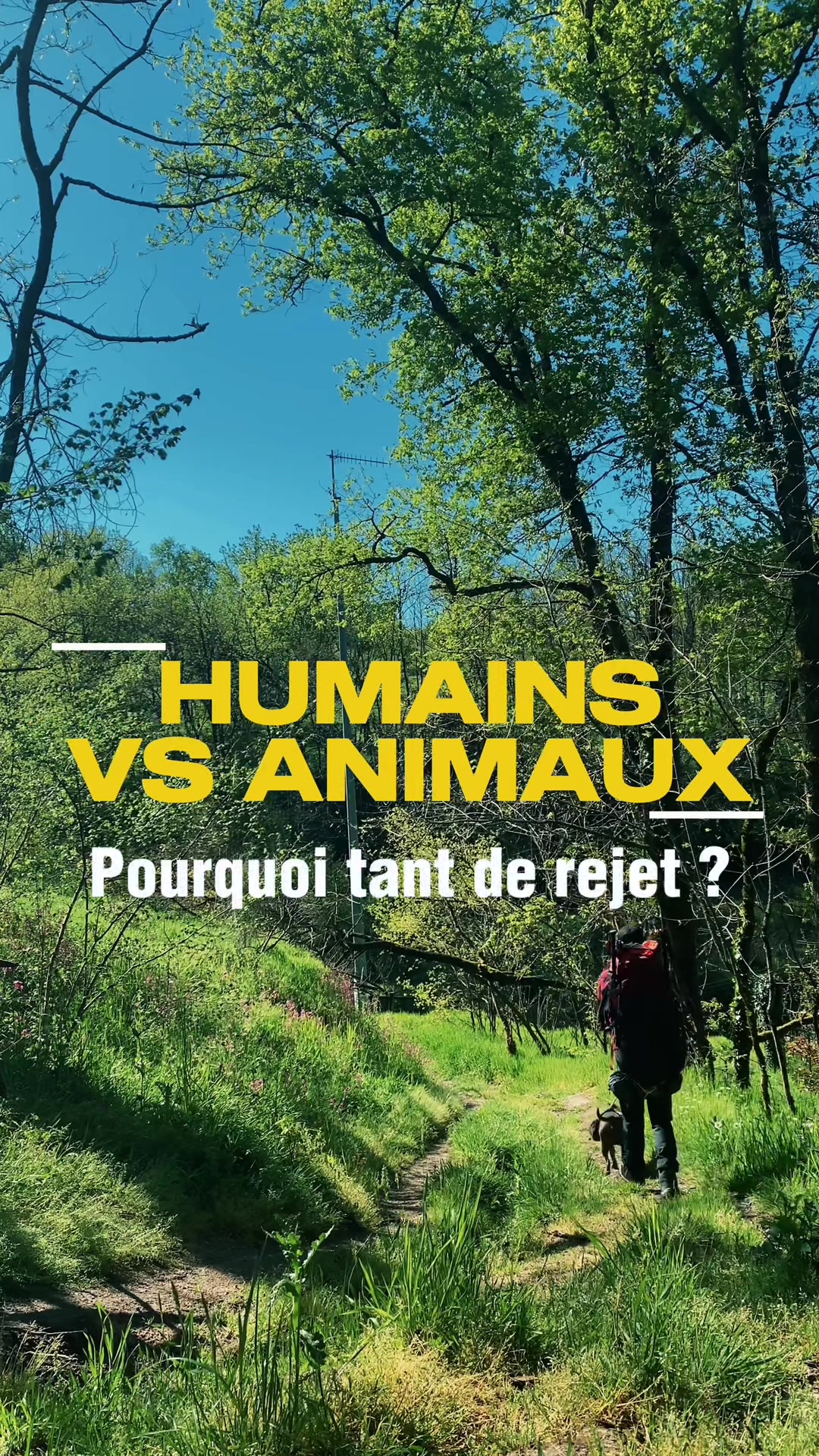 @leguerriereveille