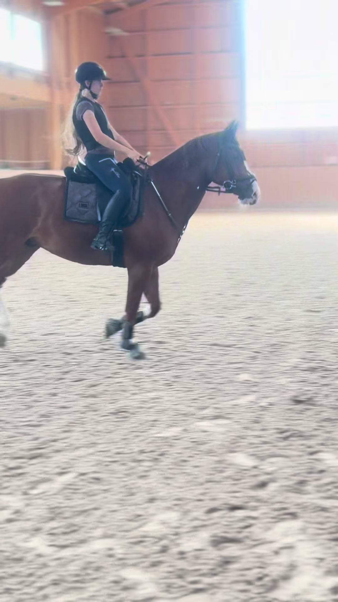 @_.coldblood.dressage_