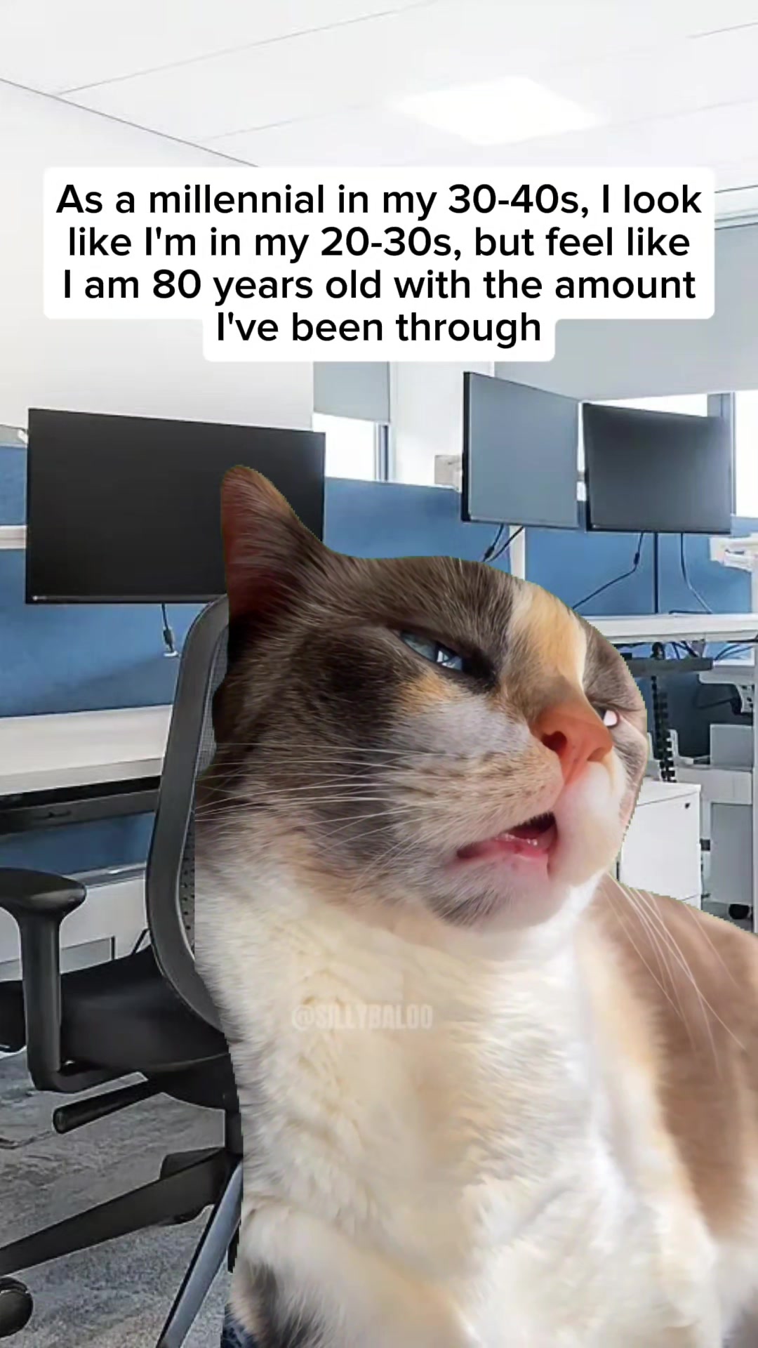 @Office Bubble