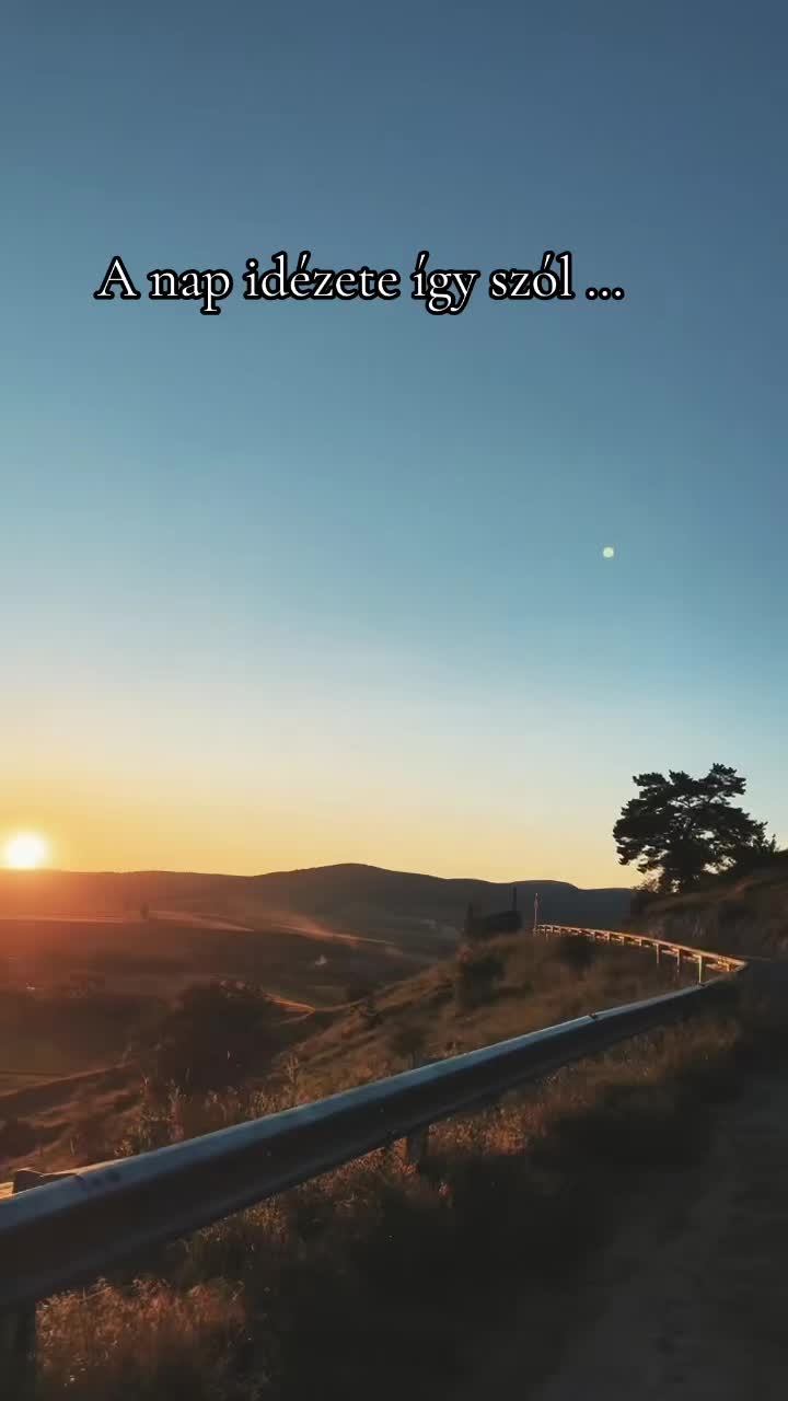 @nagynorbert945